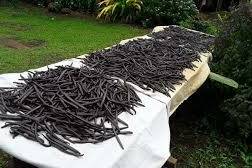 Salon de l’agriculture : la vanille des Marquises, nouvelle ambassadrice du savoir-faire polynésien