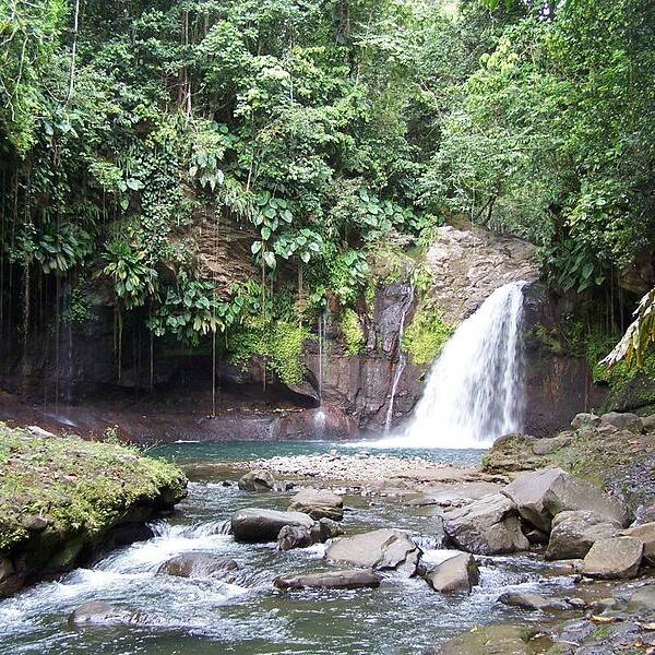 VTT à Petit-Bourg, les Rondes Vertes célèbrent 20 ans de sport et de nature