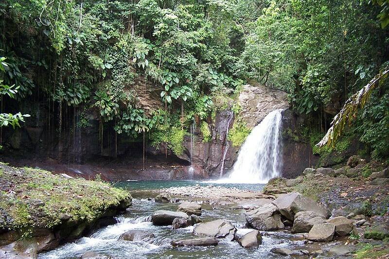 VTT à Petit-Bourg, les Rondes Vertes célèbrent 20 ans de sport et de nature