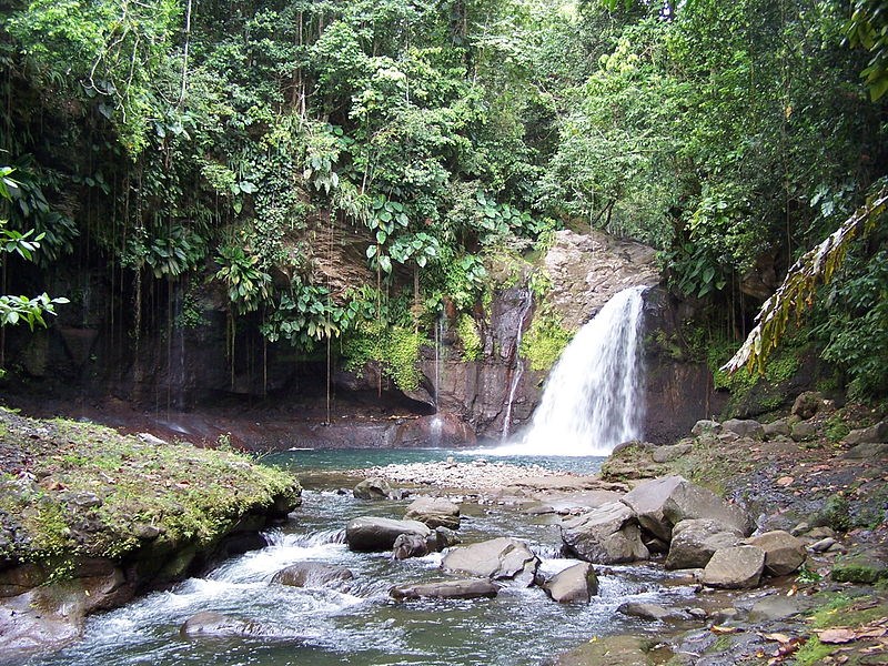 VTT à Petit-Bourg, les Rondes Vertes célèbrent 20 ans de sport et de nature