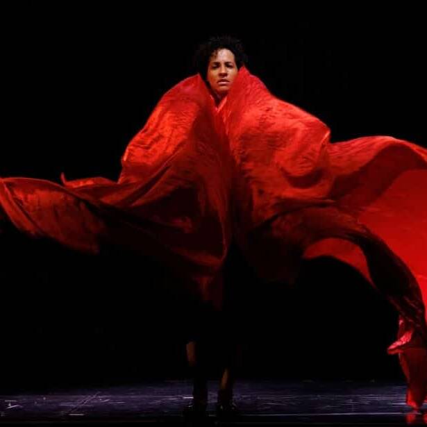 À Cayenne, le touloulou se dévoile entre fragilité et puissance