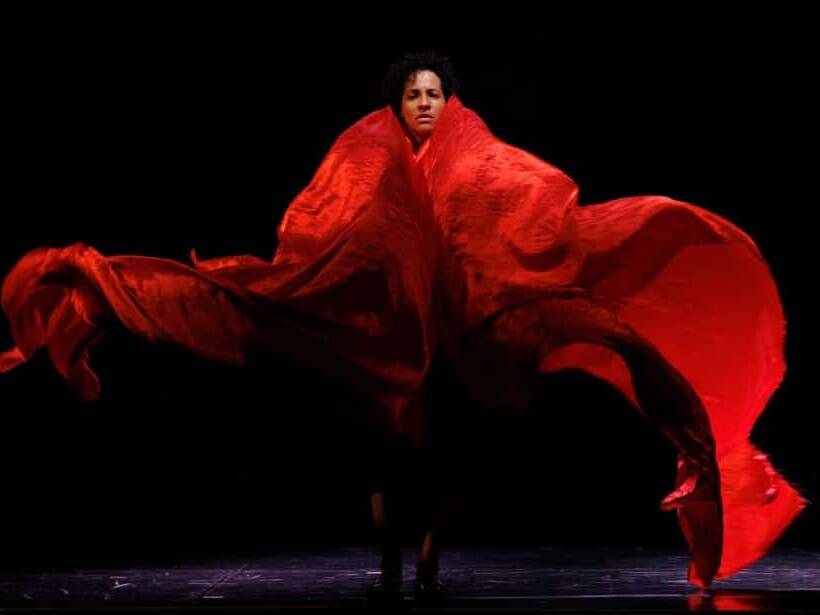 À Cayenne, le touloulou se dévoile entre fragilité et puissance