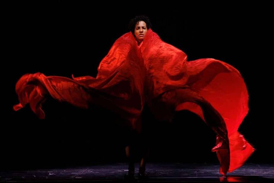 À Cayenne, le touloulou se dévoile entre fragilité et puissance