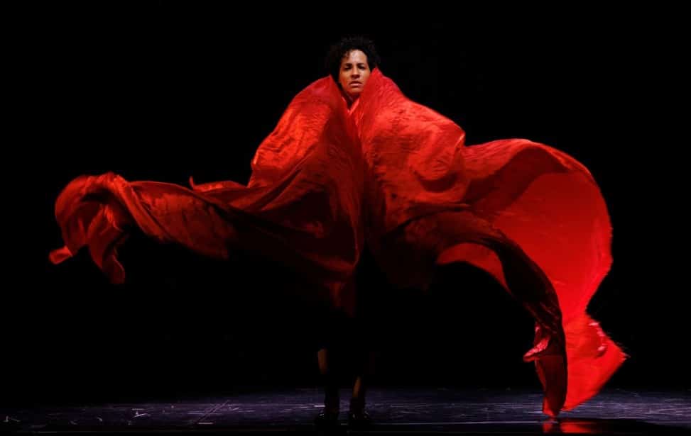 À Cayenne, le touloulou se dévoile entre fragilité et puissance