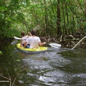 Guyane : immersion en kayak au cœur d’un écosystème fragile pour défendre la ressource en eau