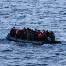 Mayotte : coup de filet contre un réseau structuré d’immigration clandestine