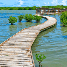 Martinique : tensions autour de l’Étang des Salines, un site naturel dégradé au cœur d’un conflit