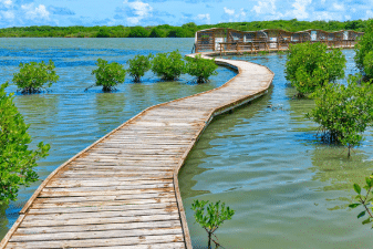 Martinique : tensions autour de l’Étang des Salines, un site naturel dégradé au cœur d’un conflit