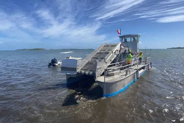 Martinique : un nouveau navire mobilisé pour renforcer la lutte contre les sargasses