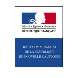 Nouvelle-Calédonie : alcool et port d’armes restreints pour les municipales 2026