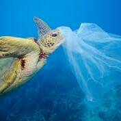 Traité mondial contre le plastique : dialogue relancé entre producteurs et Etats insulaires