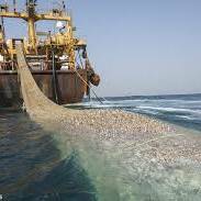 Antilles : la Guadeloupe et la Martinique concentrent l’essentiel de la pêche côtière ultramarine