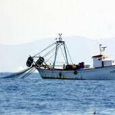 Guyane : plus de dix tonnes de poissons saisies lors d’opérations contre la pêche illégale