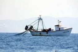 Guyane : plus de dix tonnes de poissons saisies lors d’opérations contre la pêche illégale