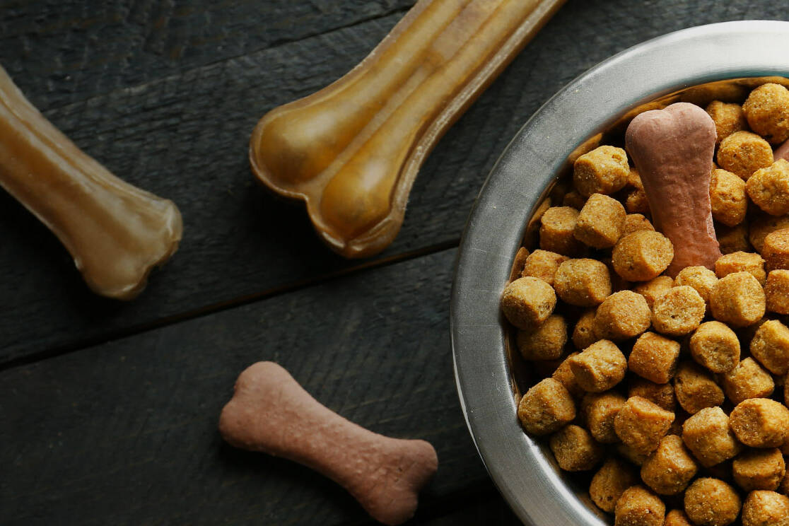 Nouvelle-Calédonie : 4,5 tonnes de croquettes distribuées aux associations de protection animale