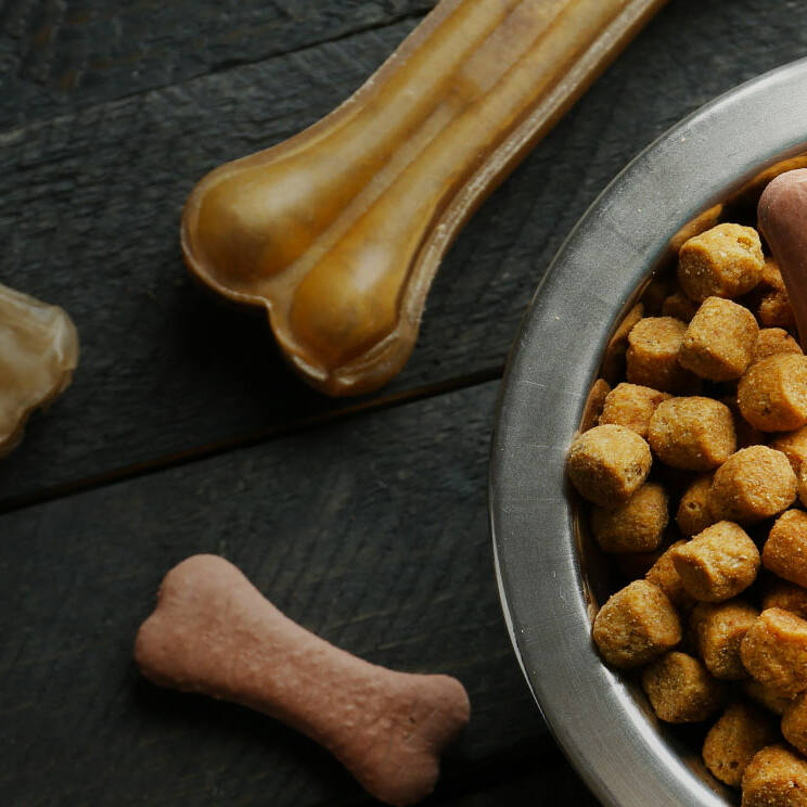 Nouvelle-Calédonie : 4,5 tonnes de croquettes distribuées aux associations de protection animale