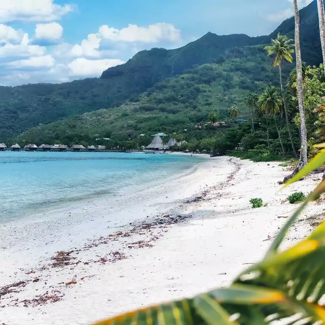 Polynésie : consultation publique lancée autour d’un projet hôtelier controversé à Moorea