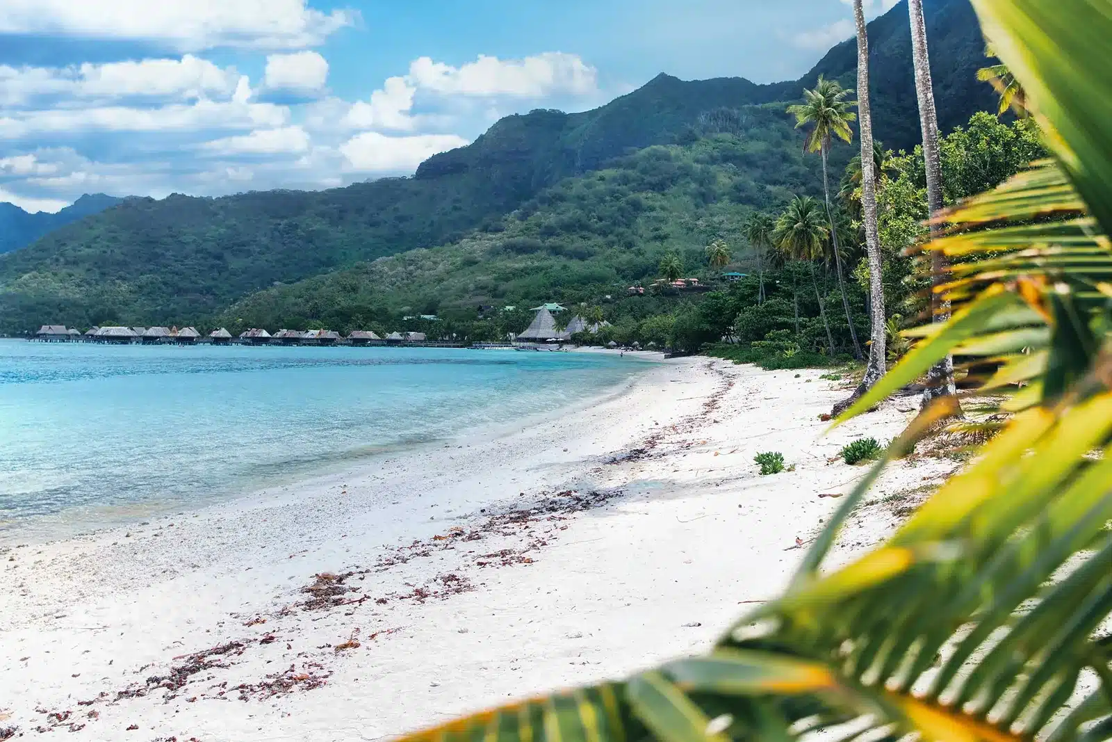 Polynésie : consultation publique lancée autour d’un projet hôtelier controversé à Moorea