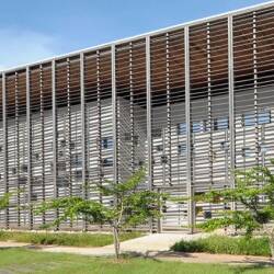 Awara : l’Université de Guyane lance une étude pour révéler le potentiel d’un trésor local