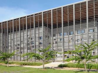 Awara : l’Université de Guyane lance une étude pour révéler le potentiel d’un trésor local