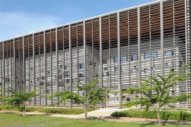 Awara : l’Université de Guyane lance une étude pour révéler le potentiel d’un trésor local