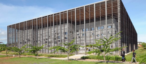 Awara : l’Université de Guyane lance une étude pour révéler le potentiel d’un trésor local