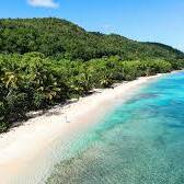 Marie-Galante : une brigade verte mobilisée pour défendre les plages et sensibiliser le public