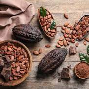 Cacao en Guyane : une filière locale en pleine émergence portée par des pionniers