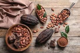 Cacao en Guyane : une filière locale en pleine émergence portée par des pionniers