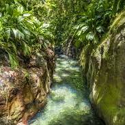 Montée des eaux à Petit-Bourg : 51 personnes piégées, une opération de secours d’ampleur