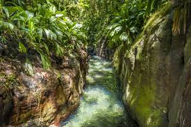 Montée des eaux à Petit-Bourg : 51 personnes piégées, une opération de secours d’ampleur