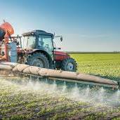 Pesticide interdit en Europe : la Nouvelle-Calédonie persiste et divise