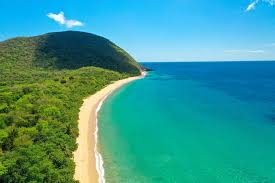 Pollution à Deshaies : une plage touristique contaminée depuis plus d’un mois