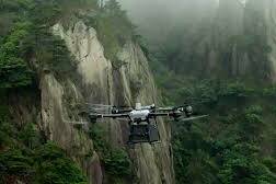 Guadeloupe : les tournages illégaux dans le Parc national menacent un écosystème déjà fragile