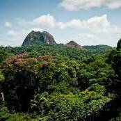 Guyane : vers une agence territoriale de la biodiversité pour mieux protéger un patrimoine unique