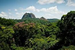 Guyane : vers une agence territoriale de la biodiversité pour mieux protéger un patrimoine unique