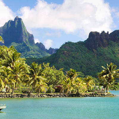 Santé : les Outre-mer en première ligne d’une approche globale face aux menaces sanitaires