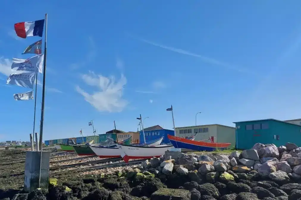 Saint-Pierre-et-Miquelon : les Zigotos reprennent la mer à bord de leurs doris traditionnels