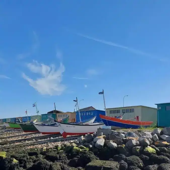 Saint-Pierre-et-Miquelon : les Zigotos reprennent la mer à bord de leurs doris traditionnels