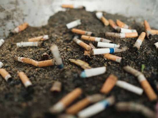 Pollution : PropRéunion lance un mégothon pour traquer un déchet toxique omniprésent