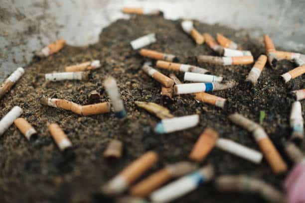 Pollution : PropRéunion lance un mégothon pour traquer un déchet toxique omniprésent