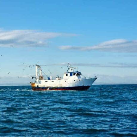 Un bateau de pêche canadien s’échoue près de Fortune sans faire de blessés