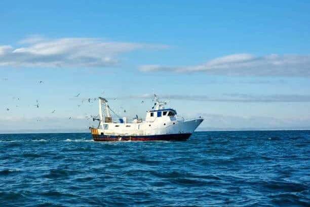 Un bateau de pêche canadien s’échoue près de Fortune sans faire de blessés