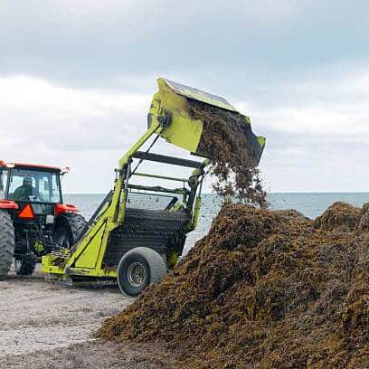 Saint-Martin renforce sa lutte contre les sargasses avec quatre barrages flottants