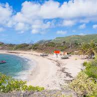 Grand Caraïbes : la jeunesse équestre caribéenne en vitrine à Baie-Mahault