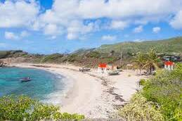 Grand Caraïbes : la jeunesse équestre caribéenne en vitrine à Baie-Mahault