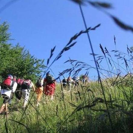 La Martinique accueille son 9e Festival International de Randonnée en juin 2026