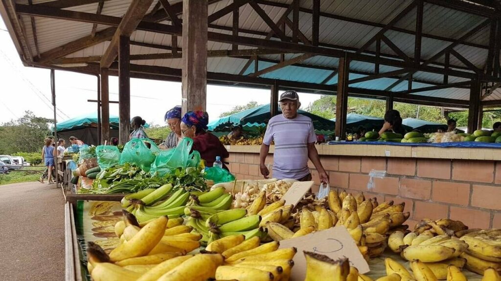 Martinique : aide carburant pour les agriculteurs après les tensions au Moyen-Orient