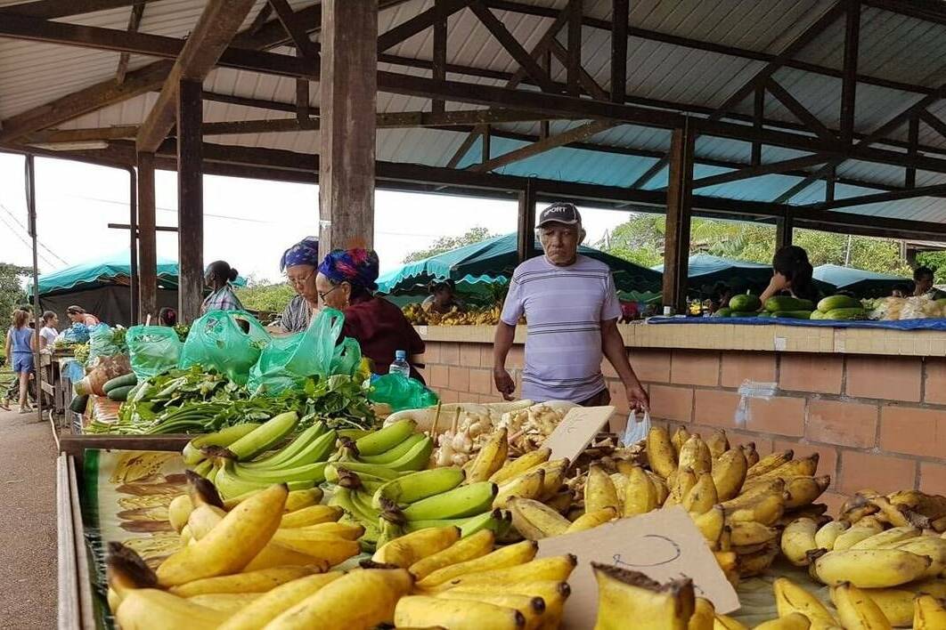 Martinique : aide carburant pour les agriculteurs après les tensions au Moyen-Orient