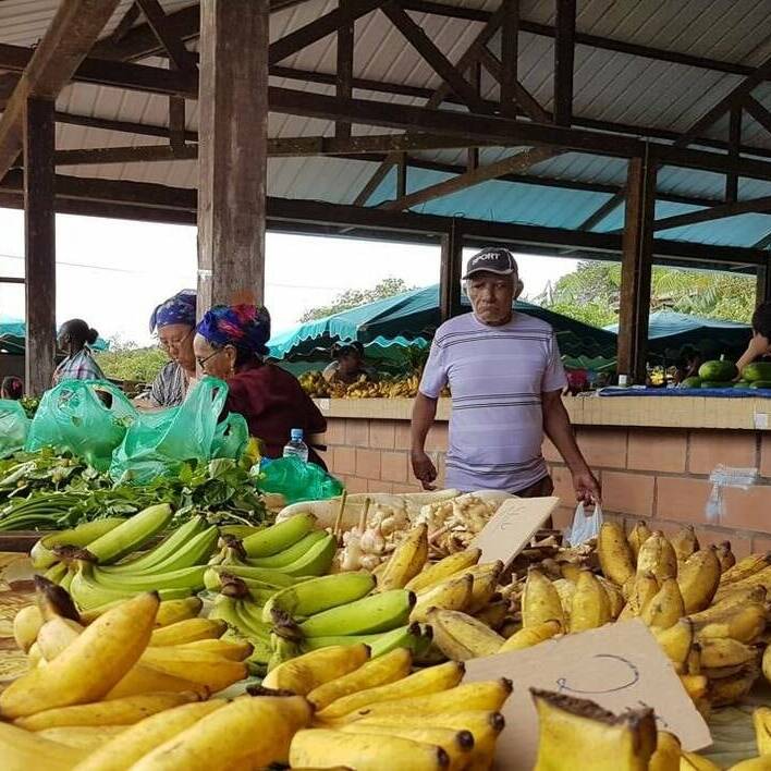 Martinique : aide carburant pour les agriculteurs après les tensions au Moyen-Orient